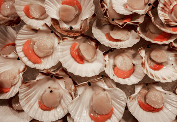 Scallops for sale at the Rialto fish market - Venice, Italy, Europe, 2016 September