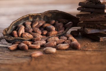 Cocoa pod and cocoa beans on the wooden table