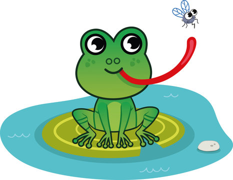 A cute frog with fly. Cartoon clip art.