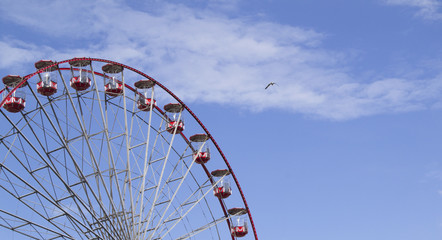 "Edimburgh eye at day"