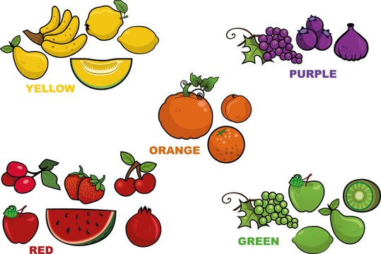 Five different colors vector fruit illustrations.