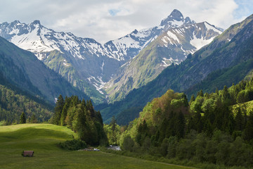 Fototapeta na wymiar Oberes Trettachtal mit Trettachspitze im Bergsommer