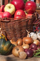 Vegetables and apples in a basket. Autumn day in the home garden. Healthy food for diet. Sunny day.
