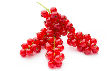Red Currant close up isolated on white.