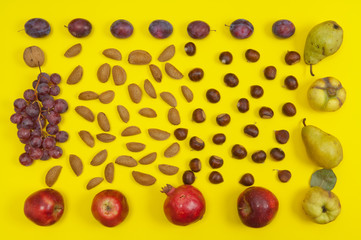 Autumn setting of organic nuts and fruits on yellow background