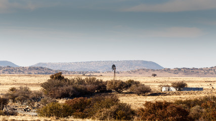 Windmill In The Field - Cradock Landscape