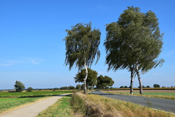 Schaumburger Landstraße