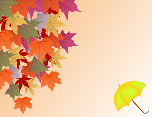 Fototapeta premium Vector background with autumn leaves and umbrella