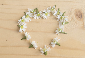 flower heart shape on wooden background