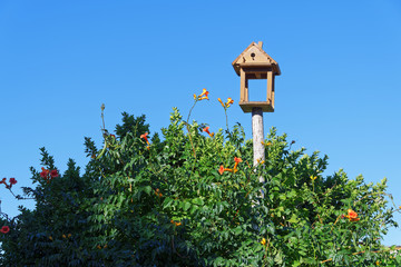 Nichoir oiseaux