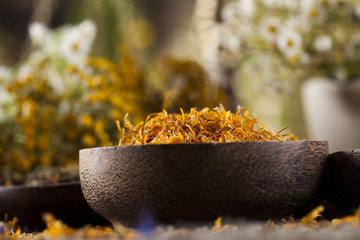 Herbal medicine on wooden desk background