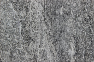 gray wood texture background