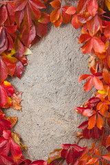 Autumn abstract frame. Wall and leaves