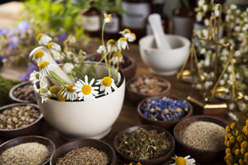 Fototapeta na wymiar Alternative medicine, dried herbs and mortar on wooden desk back