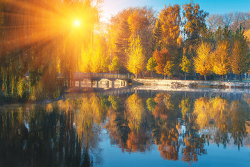 Beautiful autumn scene. Colorful foliage in the park in sunlight rays. 