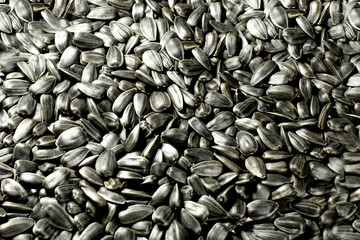 Sunflower seeds for background