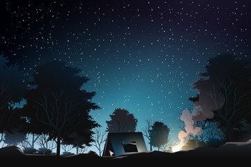 Obraz premium biwakowanie w głębokim lesie w nocy