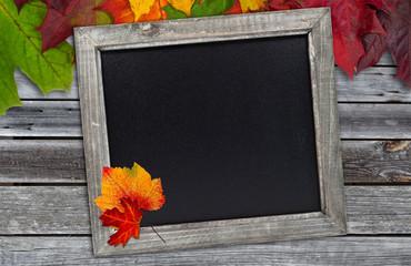 Herbstaktion, Herbstmarkt, Erntedank, Schild, Tafel, Herbstangebot, Holzhintergrund 