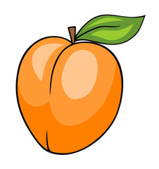 Apricot