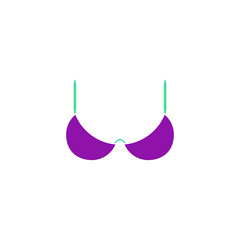 Brassiere Icon Vector