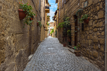 Green plants on the walls of the medieval town of Orvieto in Ita