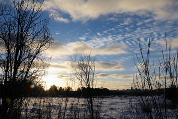 The sunset and the sun Peeps through the trees