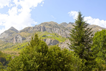 range mountain behind some pine trees in the Pyrenees, Spain
