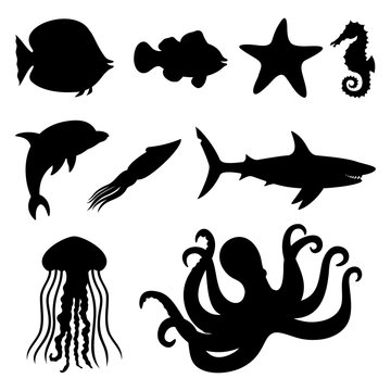 Fish, starfish, seahorse, squid, dolphin, shark, jellyfish, and octopus.
