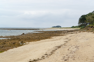 Gulf of Morbihan