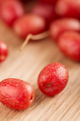 Red berries - Elaeagnus multiflora