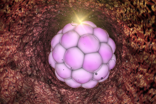 Varicella zoster or chickenpox virus structure, 3D illustration. A herpes virus which cause chickenpox and shignles