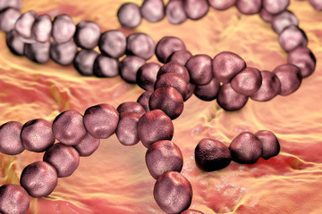 Streptococcus mutans bacteria, gram-positive cocci which cause dental caries, 3D illustration