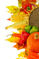 Halloween vegetables decoration with maple leaves and sunflower, vegetables, pumpkins. Autumn vegetables on white background. Pumpkins and sunflower close up