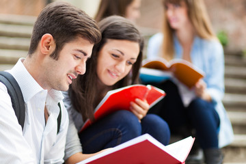 Group of smiling students sitting on a staircase