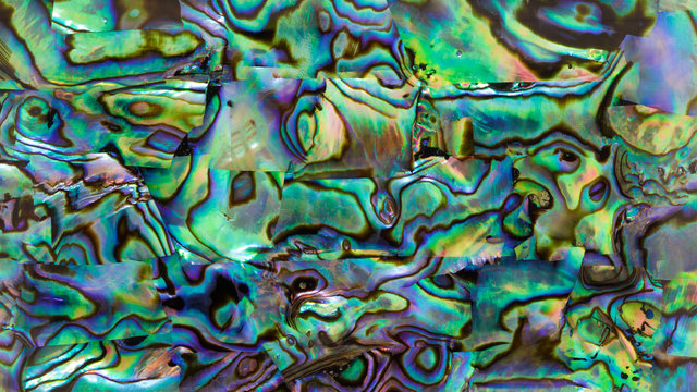 close up shot the iridescent of abalone shell texture background in HD ratio, 16x9