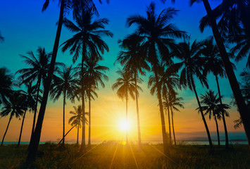 Obraz na płótnie Canvas Silhouette coconut palm trees on beach at sunset.