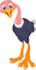 Funny ostrich cartoon 