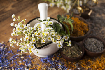 Herbs, berries and flowers with mortar, on wooden table backgrou