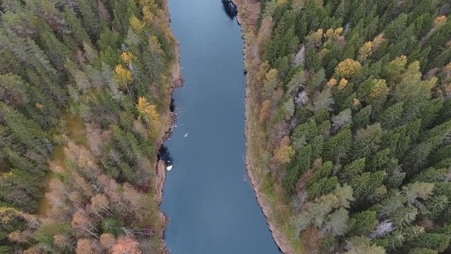 aerial view flying over river with autumn forest