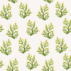Seamless pattern with corals.