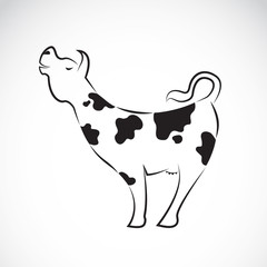 Vector of cow on white background.