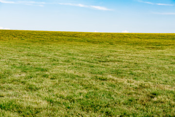  grass field in Auvergne - 122340819