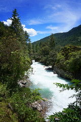 Fototapeta na wymiar Flowing river inside a forest in Bhutan.