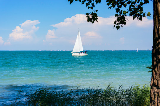 Sailing at Balaton lake