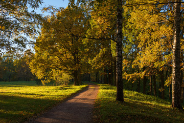 Park in red and orange colors