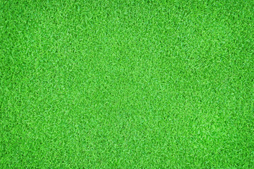 Seamless green grass natural background. Top view