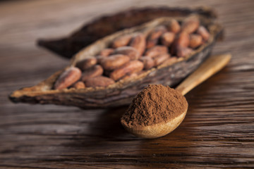Cacao beans and powder and food dessert background