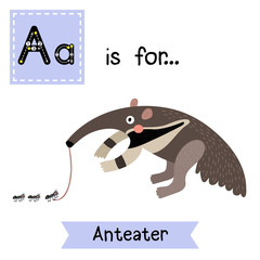 A letter tracing. Anteater. Cute children zoo alphabet flash card. Funny cartoon animal. Kids abc education. Learning English vocabulary. Vector illustration.