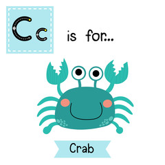 C letter tracing. Happy blue Crab. Cute children zoo alphabet flash card. Funny cartoon animal. Kids abc education. Learning English vocabulary. Vector illustration.