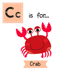 C letter tracing. Happy red Crab. Cute children zoo alphabet flash card. Funny cartoon animal. Kids abc education. Learning English vocabulary. Vector illustration.vocabulary. Vector illustration.